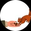 squirrelsarefun